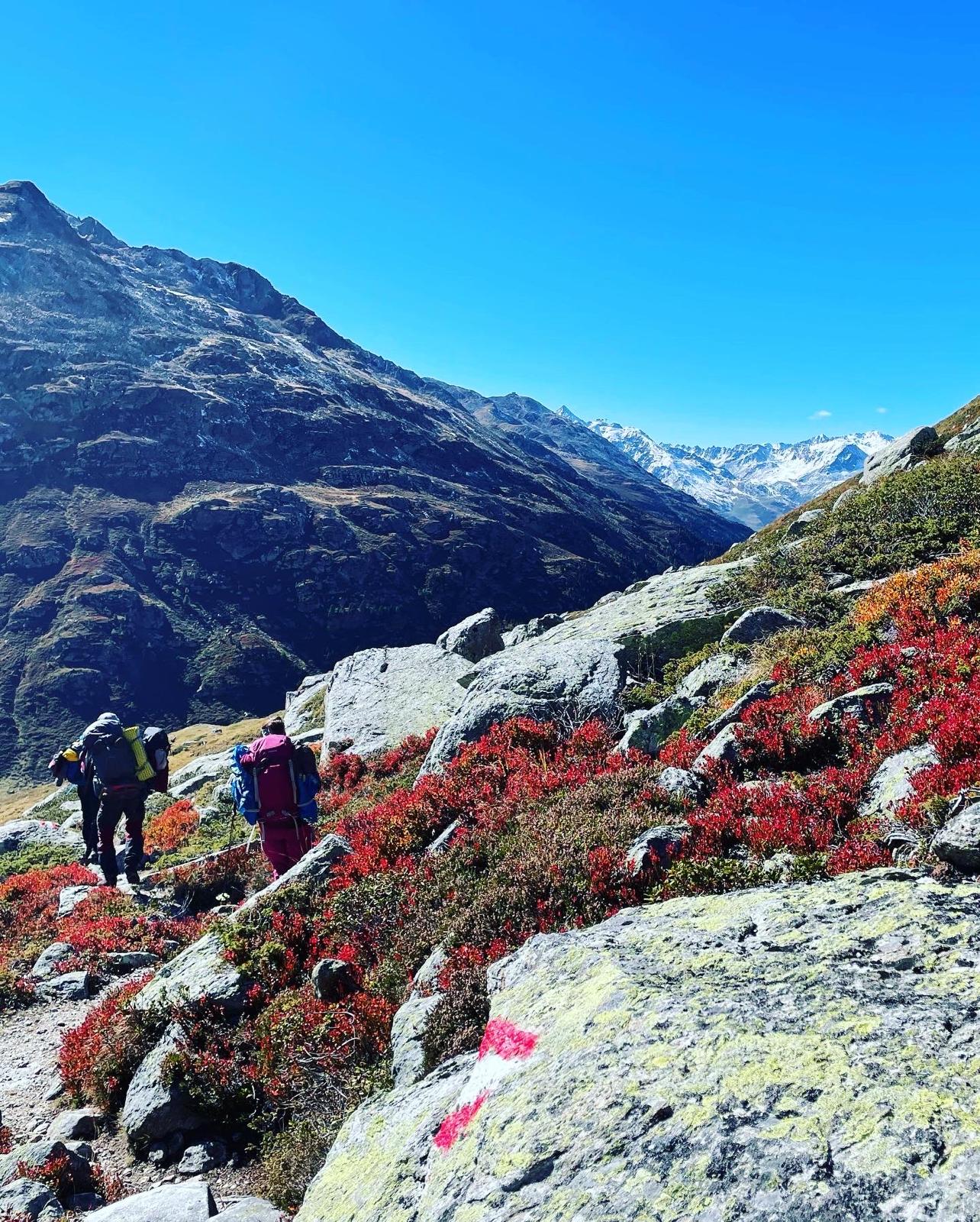 Abstieg einer Wandergruppe ins Windachtal, Herbstfarben, rote Heidelbeerbüsche, strahlend blauer Himmel, Felsen
